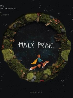 0055019857_Maly_princ_V